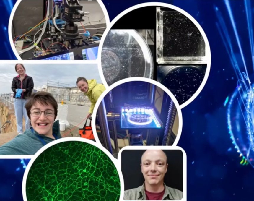 Composite image of researchers collecting and analysing marine samples for microplastics