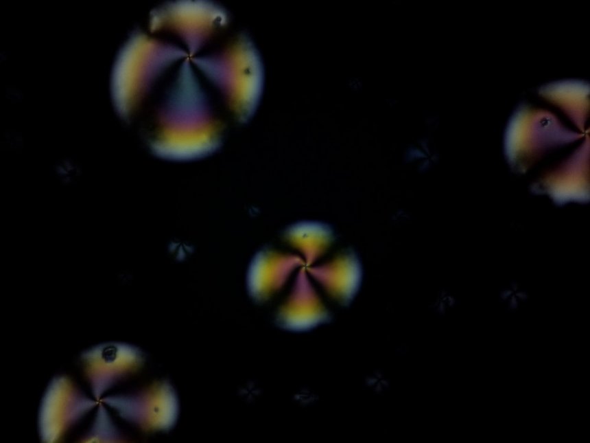 Phase contrast micrograph of a liquid crystal